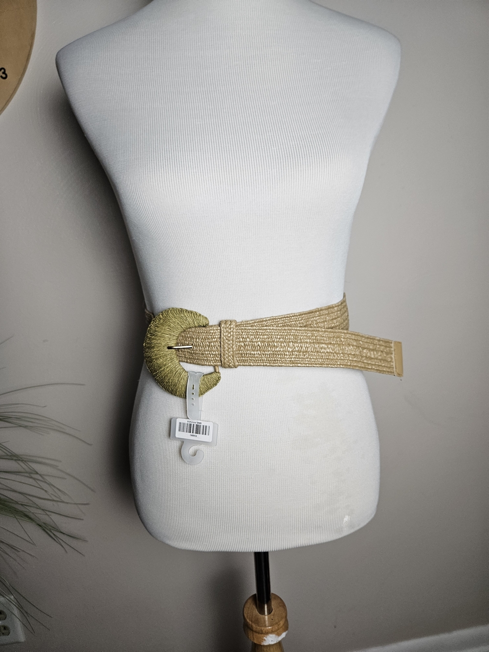 Gold Braided Waist Belt with Round Buckle - Women's Accessory